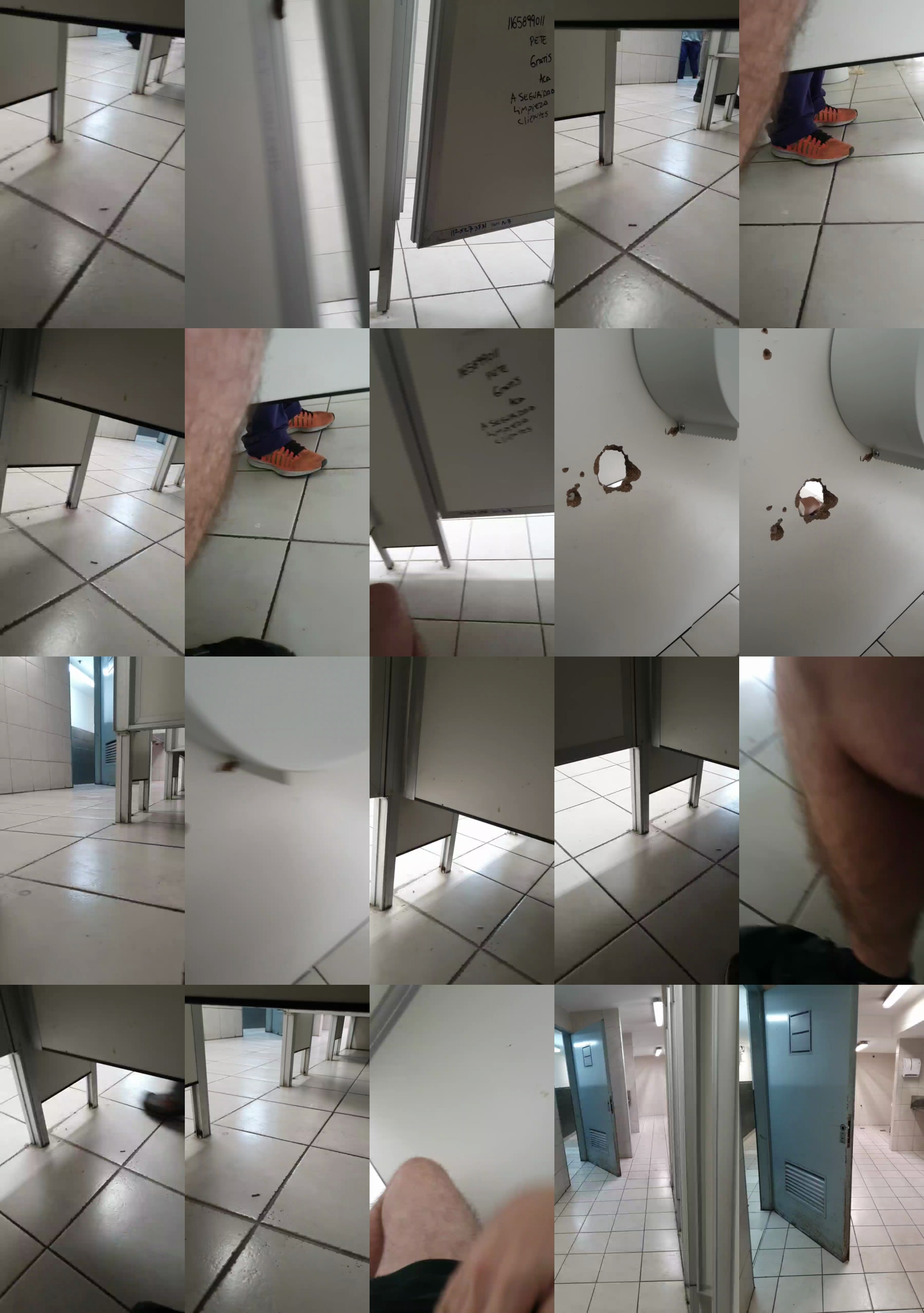 tigredebengala  12-04-2022